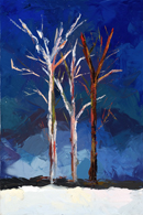 Winter Birch